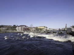 River Moy gets its first Salmon of the season