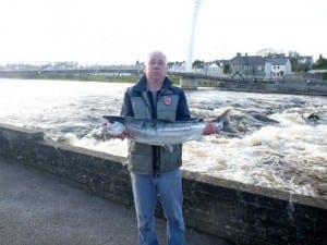 moy-salmon-480x360