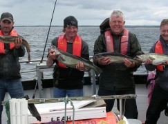 Western River Basin District IFI Ballina  Angling report – w/e 19th June 2016