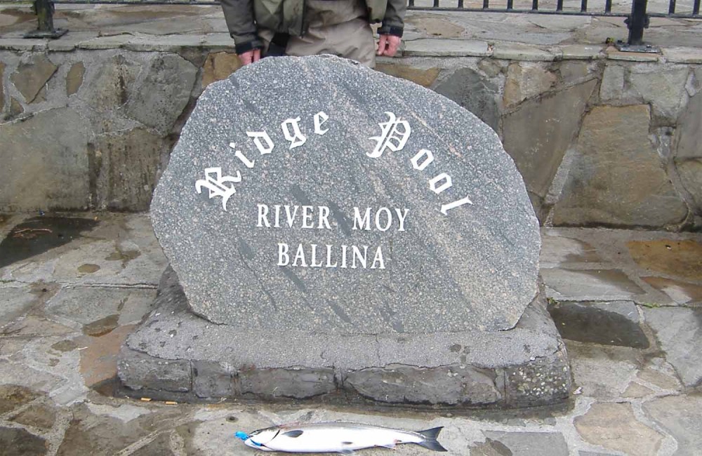 Bill Cleary, Dublin, with 3 Ridge Pool grilse 