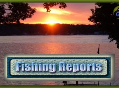 Western River Basin District IFI Ballina  Angling report – w/e 10th July 2016