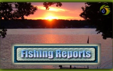 Western River Basin District IFI Ballina   Angling report – w/e 21st August 2016