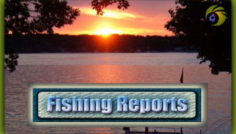 Western River Basin District IFI Ballina   Angling report – w/e 21st August 2016