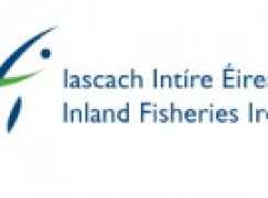 Funding call – Inland Fisheries Ireland €500,000 Capital Grant Scheme