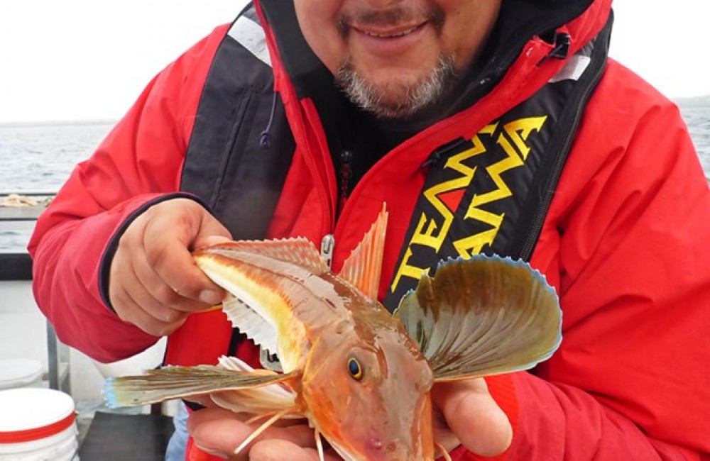 Arne Seiberlich, Germany, with a nice tub gurnard from Killala Bay