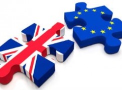 Department of Business, Enterprise & Innovation – Brexit Preparedness Notices