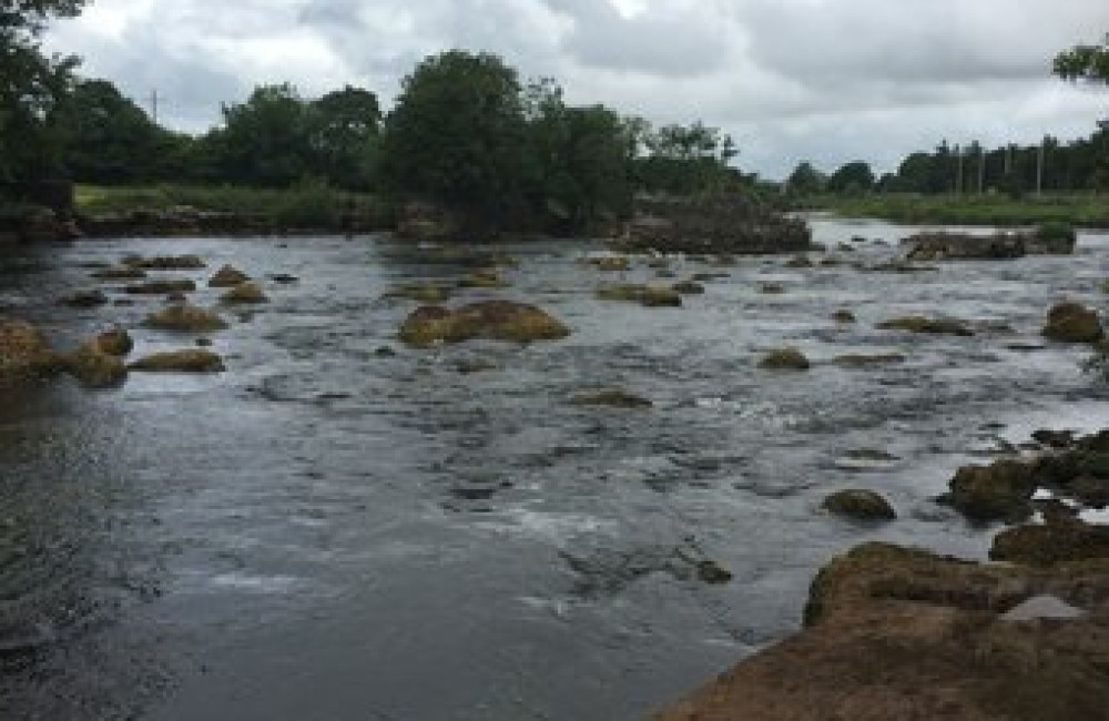 Foxford