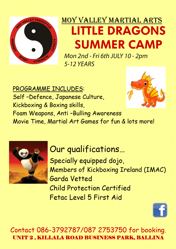 Martial Arts Summer Camp which is very popular for 5-12 age group