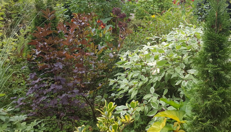A Ballina Botanical Masterpiece … Paul Kirwin of Topline Archers