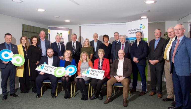 Expanded Business Mentoring Service Launched in Mayo