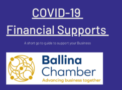 Financial Business Supports during COVID-19